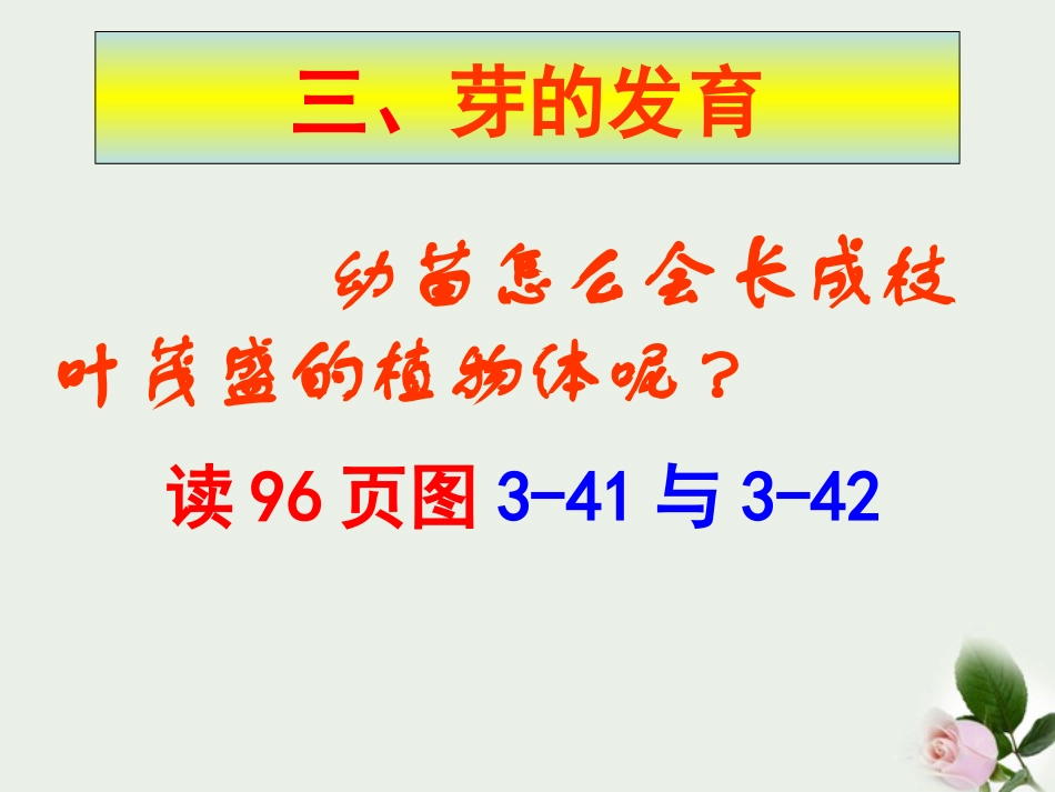 浙江省桐乡三中七年级科学下册《植物的一生》课件1-浙教版_第3页