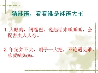 我喜欢的动物朋友新