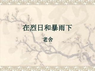 在烈日和暴雨下 (2)