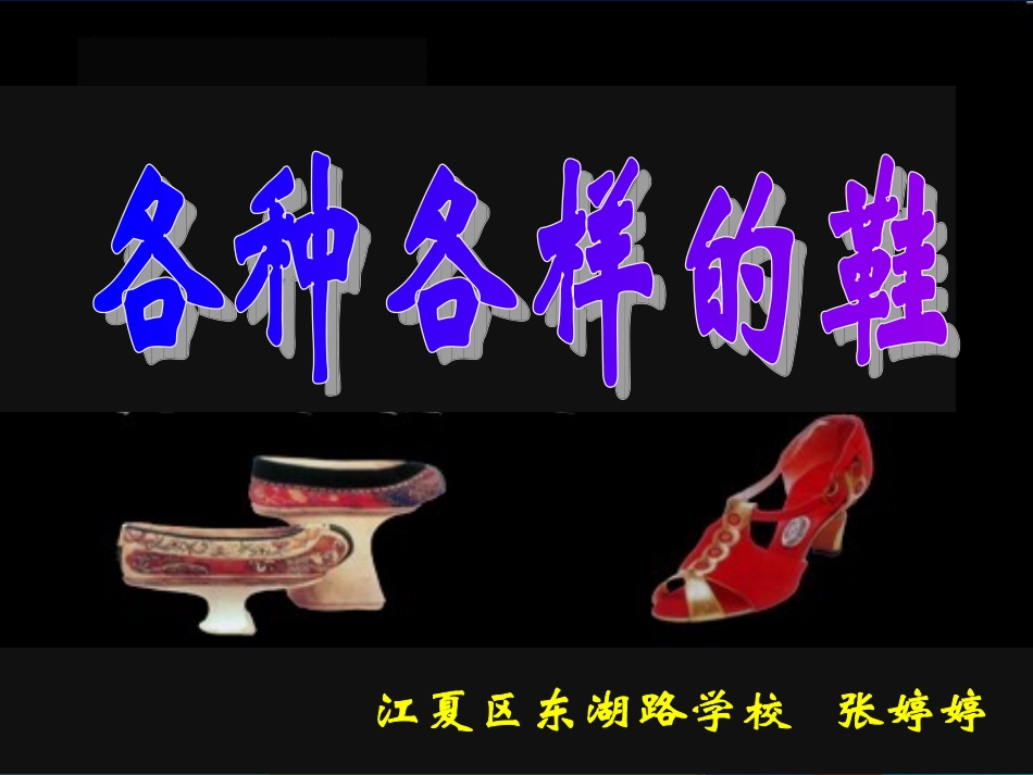 课件各种各样的鞋_第1页