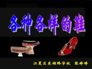 课件各种各样的鞋