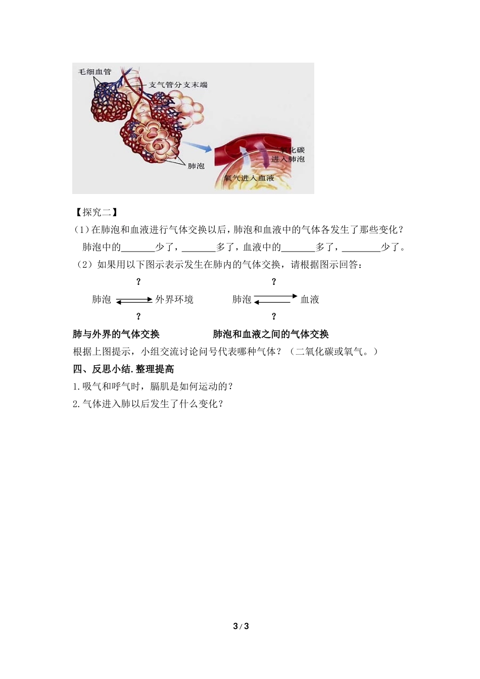《发生在肺内的气体交换》导学案_第3页