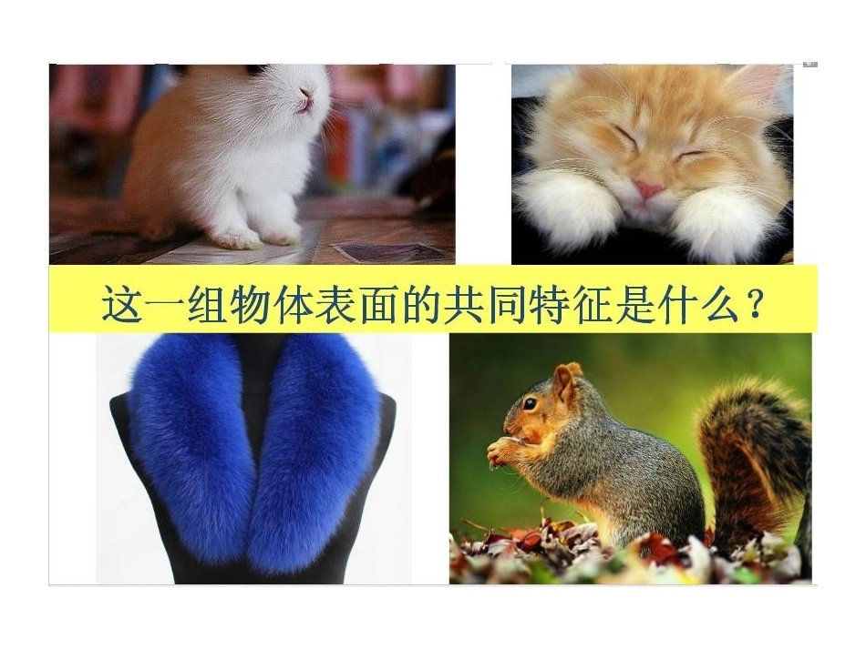 8.不同物象的表面特征_第2页