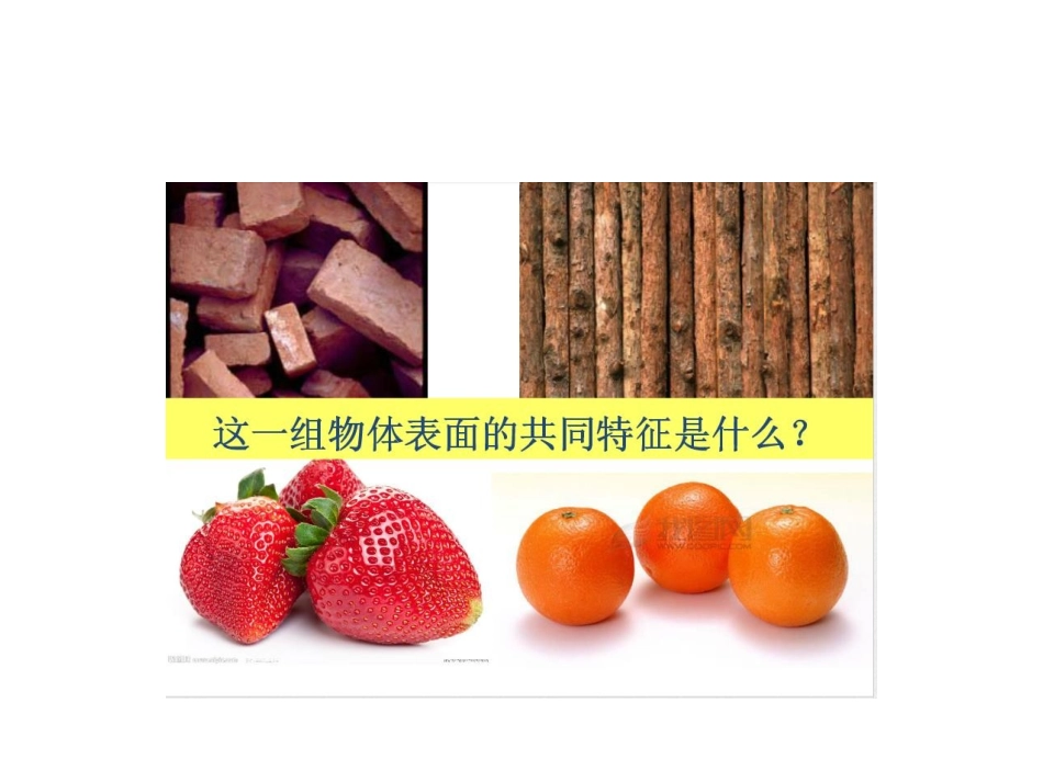 8.不同物象的表面特征_第3页