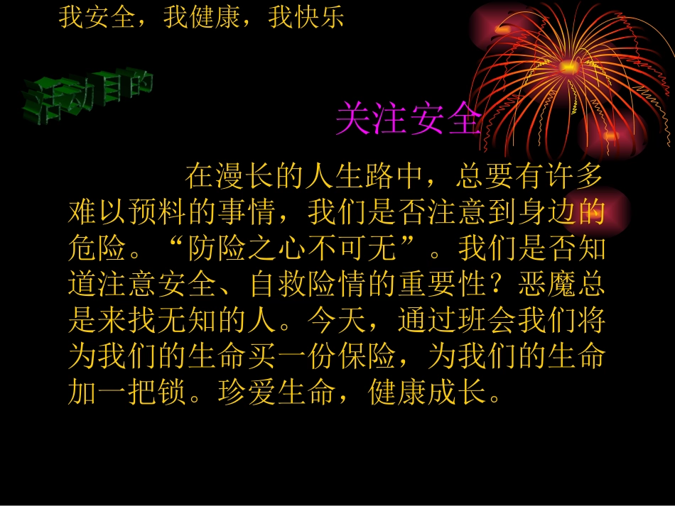 《安全伴我行》主题班会_第2页