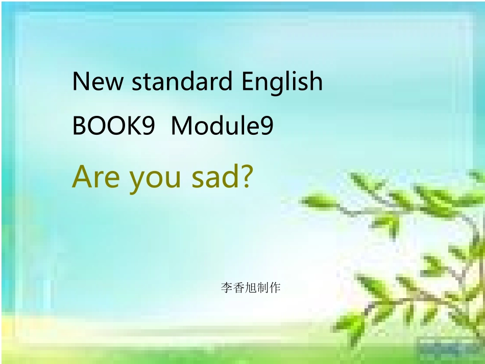 新标准英语课件第九册_第1页