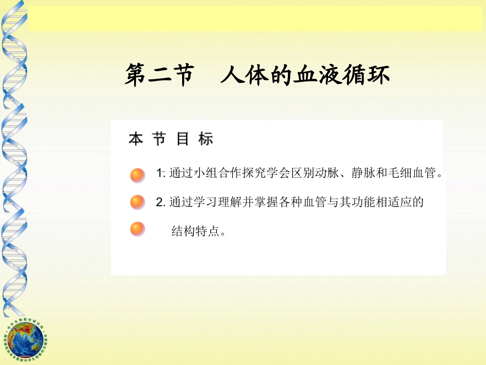 中学血液循环_第3页