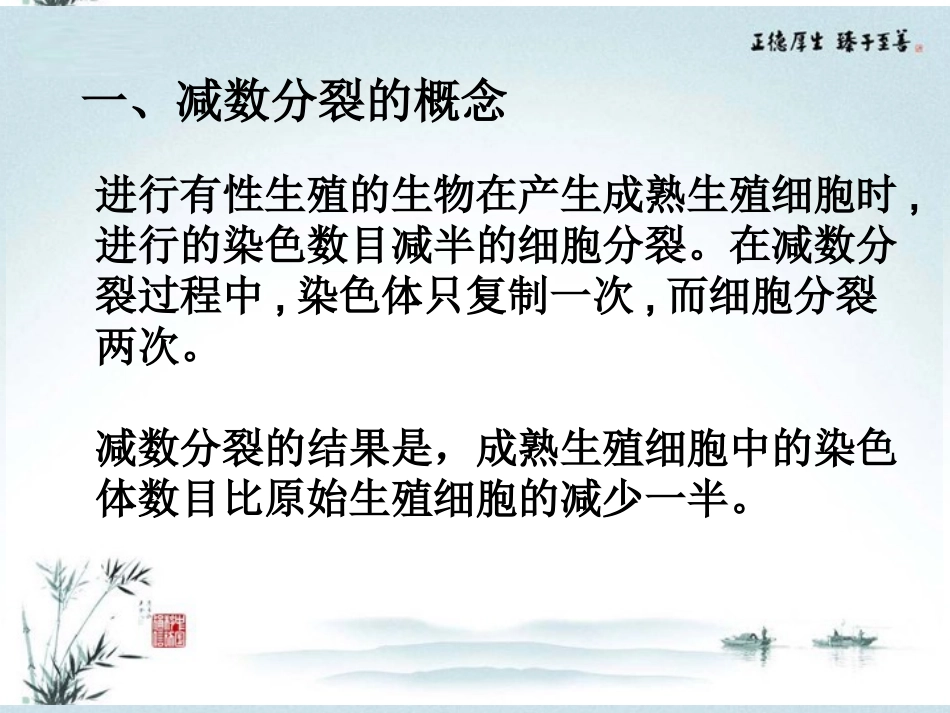 高中生物-减数分裂和受精作用课件-新人教版必修2_第2页
