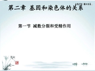 高中生物-减数分裂和受精作用课件-新人教版必修2