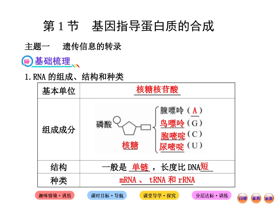 4.1基因指导蛋白质的合成课件(人教版必修II)_第1页