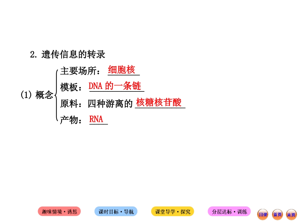 4.1基因指导蛋白质的合成课件(人教版必修II)_第3页
