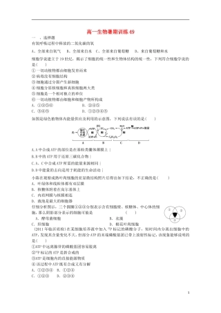 高一生物暑期训练49
