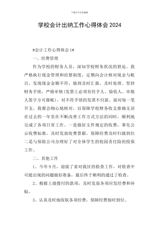 学校会计出纳工作心得体会2024