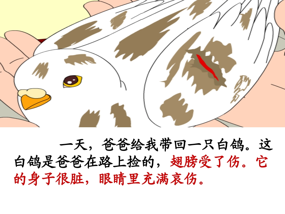 《雪儿》第二课时_第2页