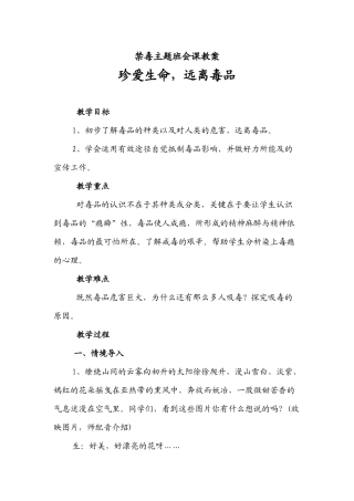 《珍爱生命，远离毒品》教案