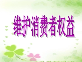 维护消费者权益 (2)
