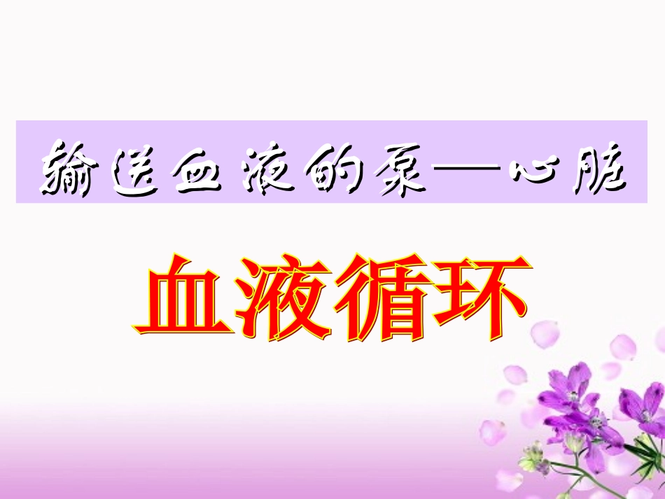 输送血液的泵——血液循环_第3页