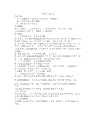 可爱的乌龟宝宝
