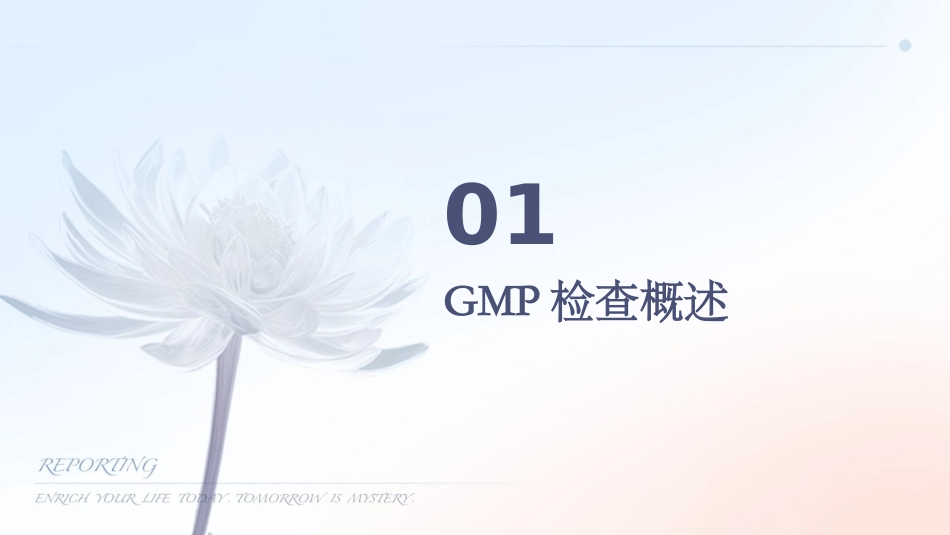 药品GMP检查中方法和技巧探讨课件_第3页