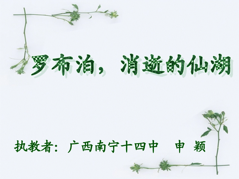 《罗布泊，消逝的仙湖》（南宁十四中申颖）_第1页