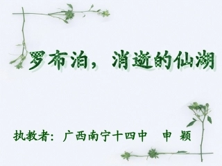 《罗布泊，消逝的仙湖》（南宁十四中申颖）