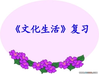 文化生活复习全套课件(2)y