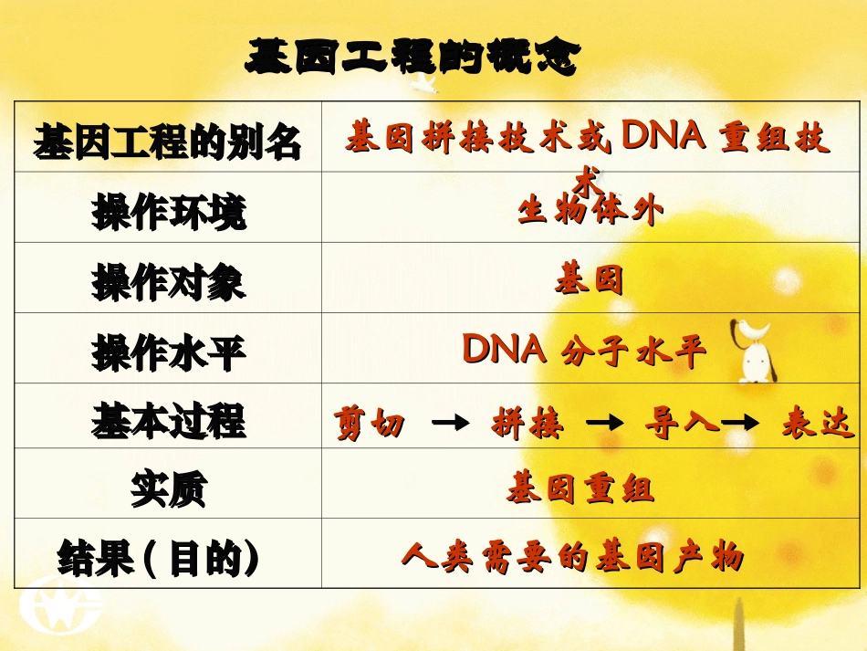 DNA重组技术的基本工_第3页
