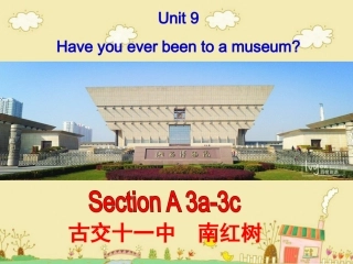 南红树教学课件