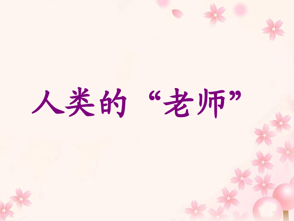 《人类的“老师”》教学课件1_第1页