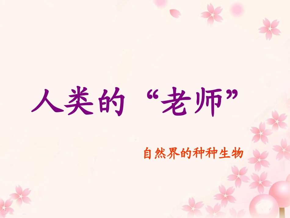 《人类的“老师”》教学课件1_第3页