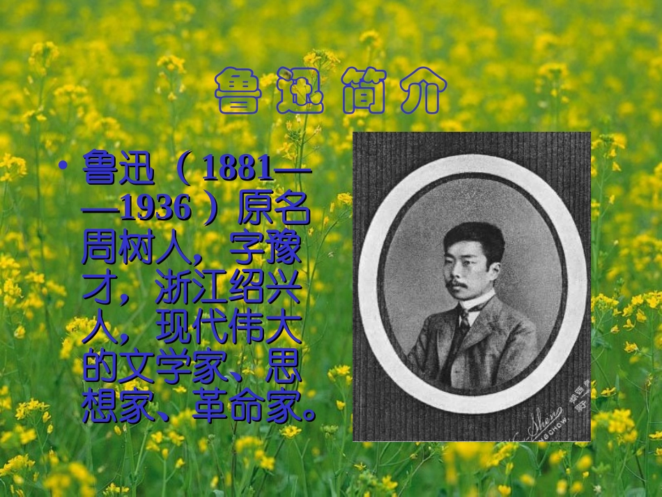 语文七年级下册《从百草园到三味书屋》_第3页