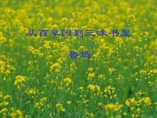 语文七年级下册《从百草园到三味书屋》