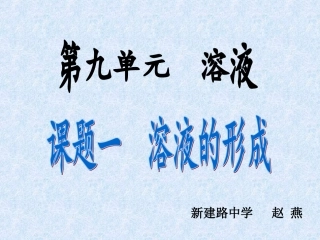 溶液形成人教版赵燕