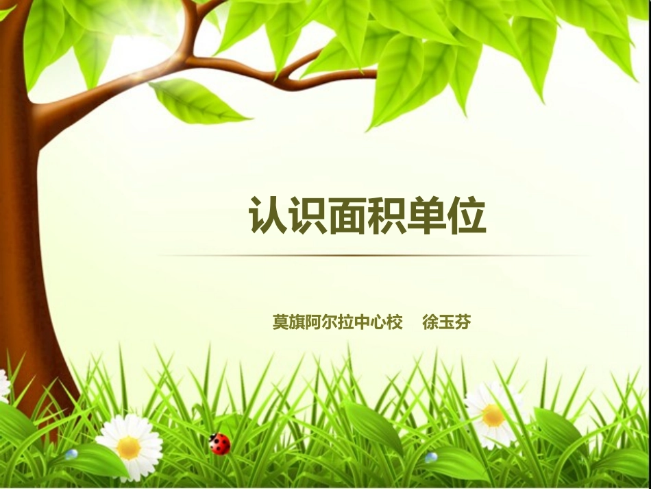 认识面积单位_第1页