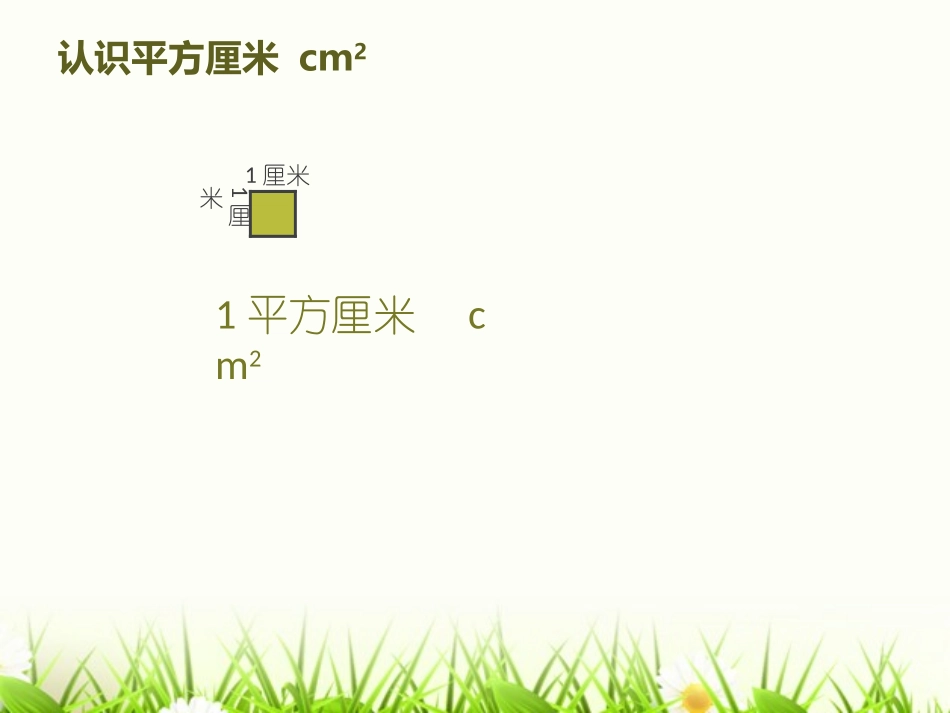 认识面积单位_第2页