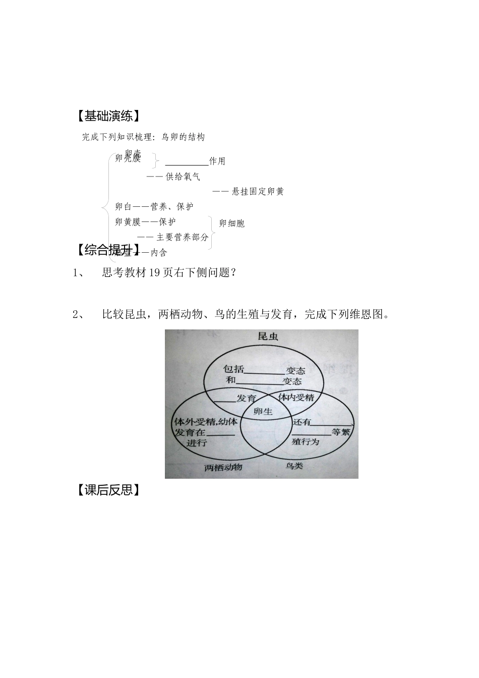 鸟的生殖和发育导学案--张义_第2页
