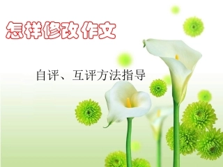 初中作文教学用课件之作文修改(二)