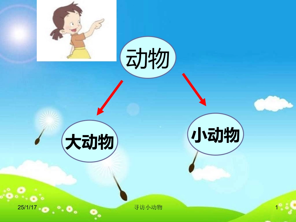 教科版科学三上《寻访小动物》课件_第1页