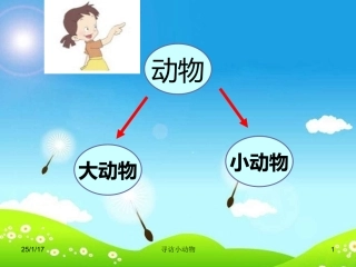 教科版科学三上《寻访小动物》课件