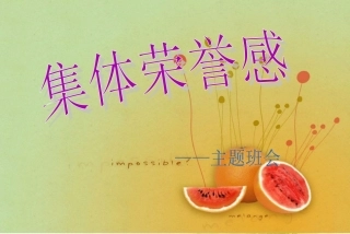 集体荣誉感主题班会