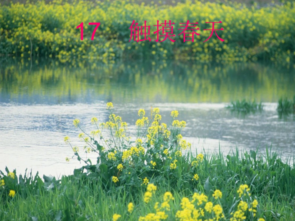 触摸春天 (5)_第1页