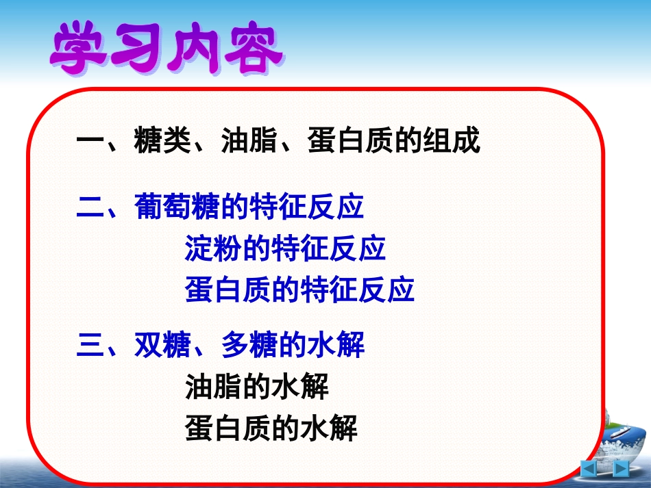 糖油脂蛋白质_第3页