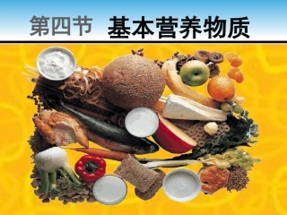 糖油脂蛋白质