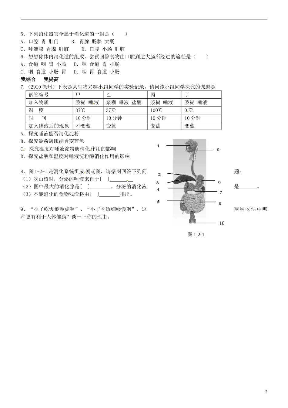 山东省高密市银鹰文昌中学七年级生物下册-第二节-消化和吸收一学案(无答案)-新人教版_第2页