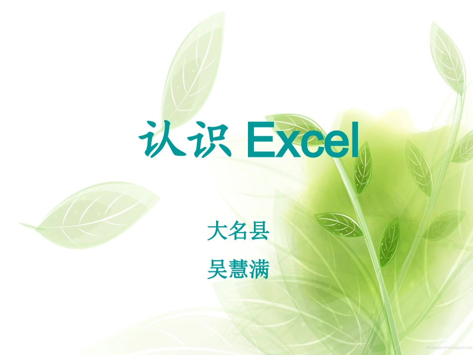 一、认识Excel窗口_第1页