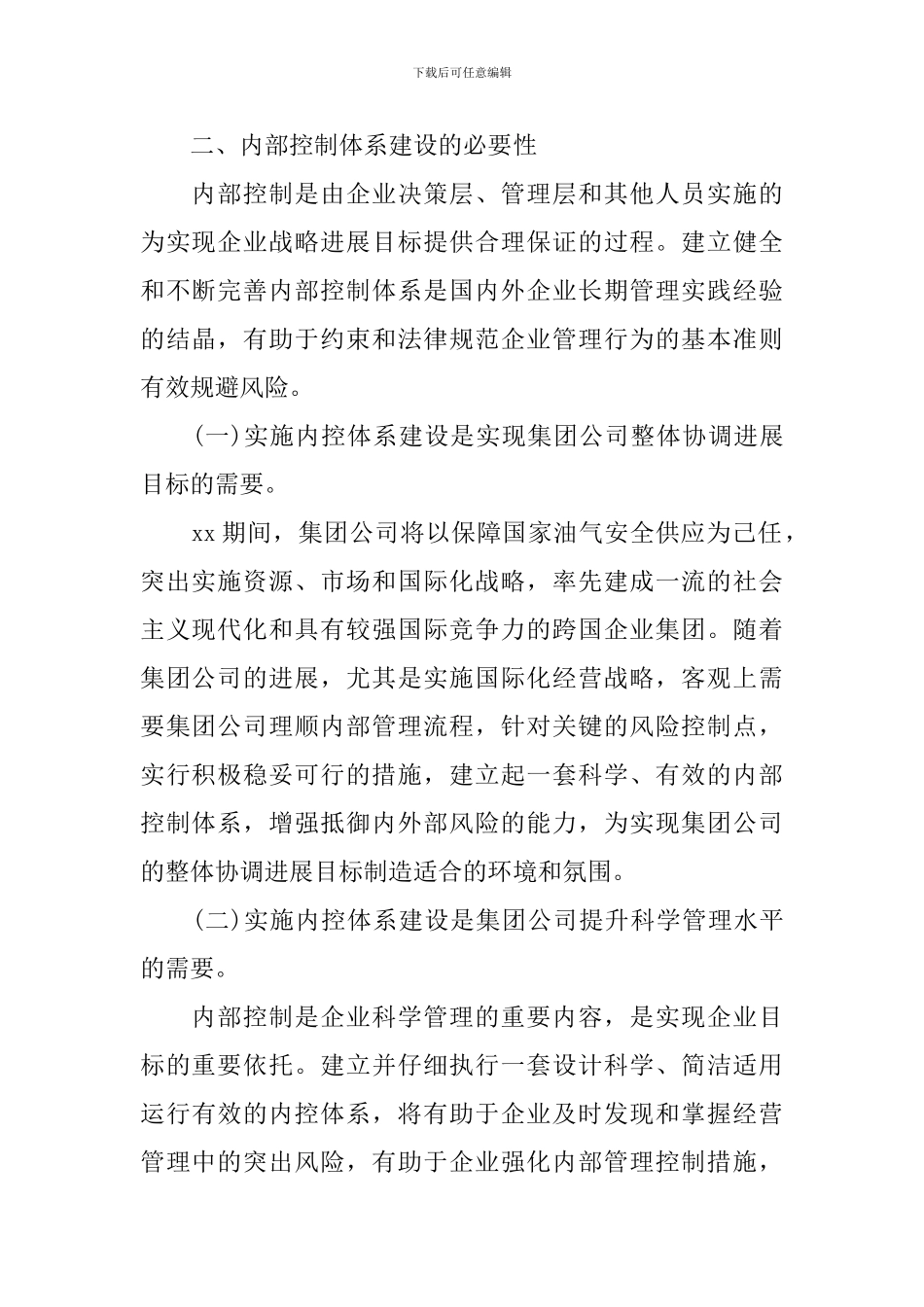 企业内控建设工作方案模板_第2页