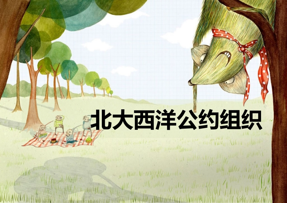 北大西洋公约组织_第1页
