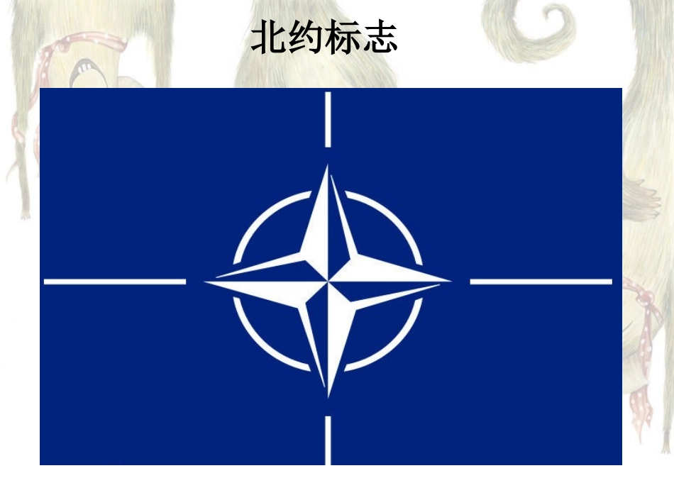 北大西洋公约组织_第2页