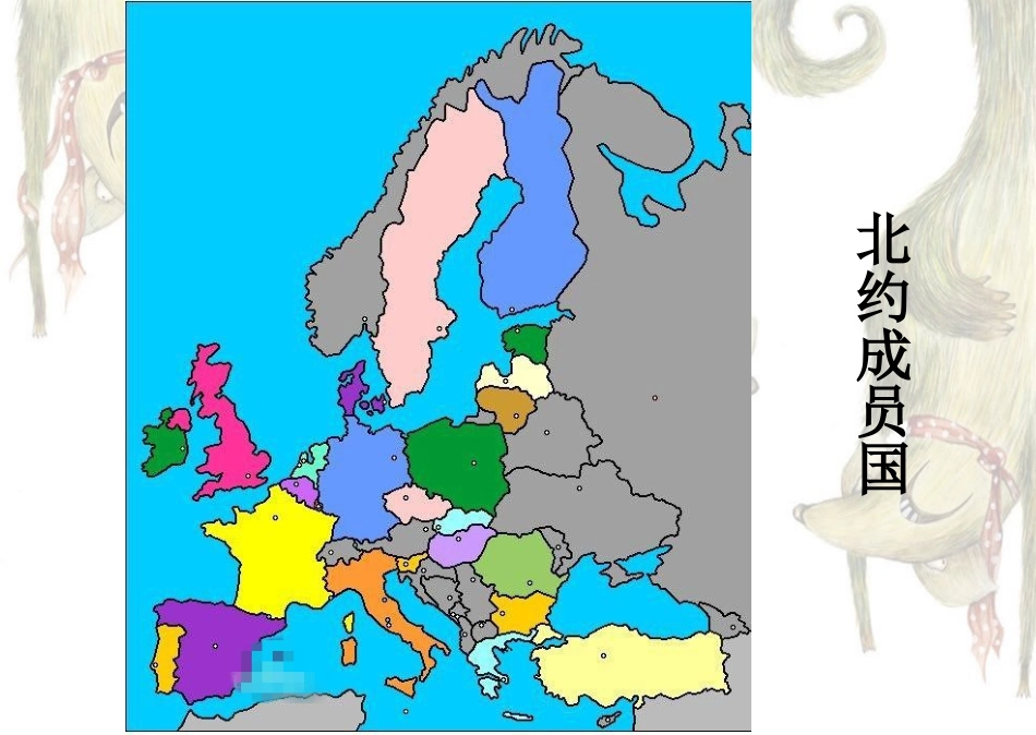 北大西洋公约组织_第3页