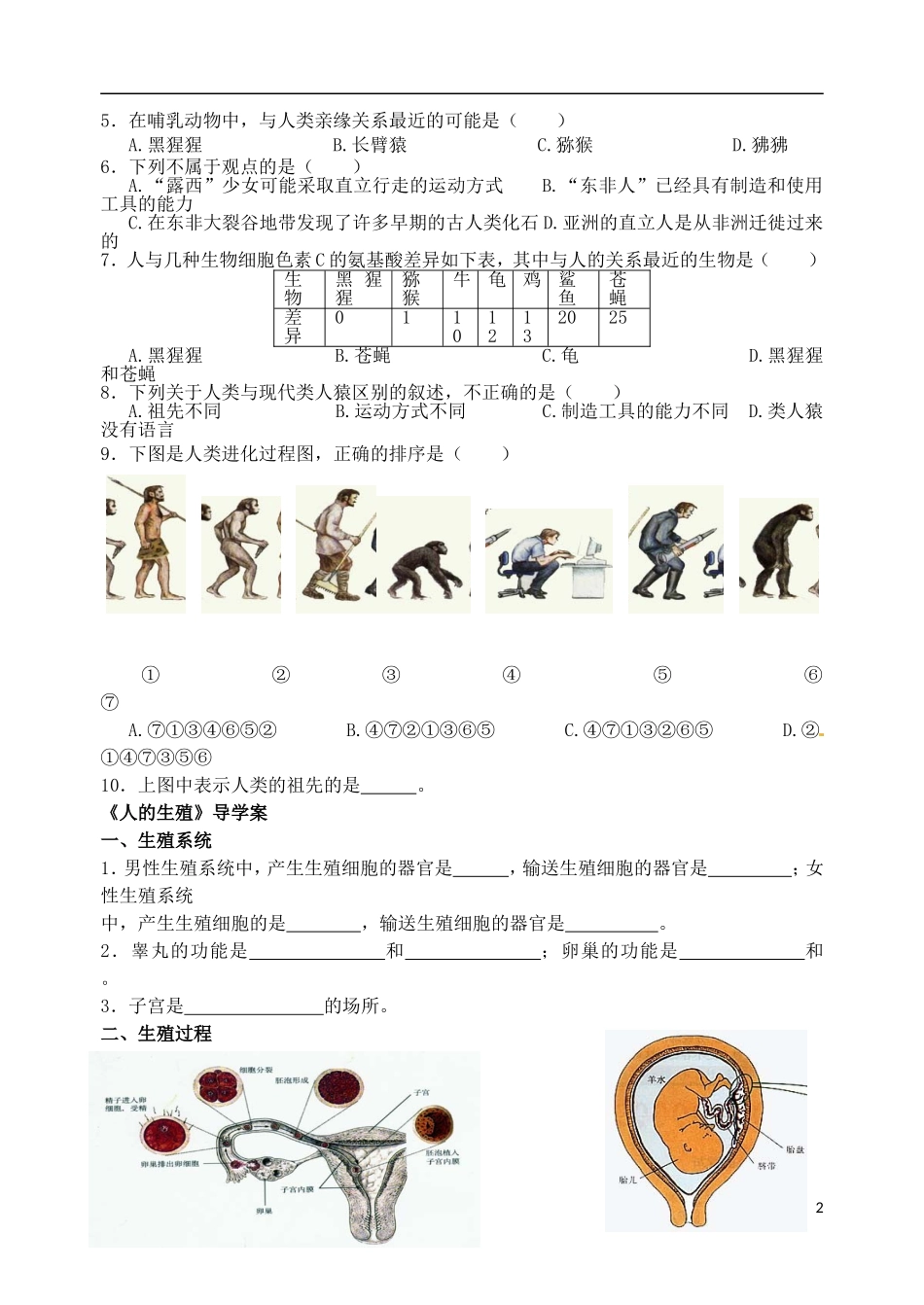 广东省江门市培英初级中学七年级生物下册《人的由来》练习(无答案)--新人教版_第2页